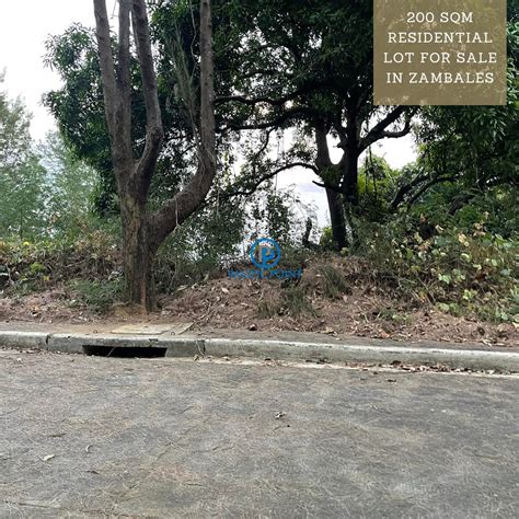 200sqm Lot for Sale in Zambalez .